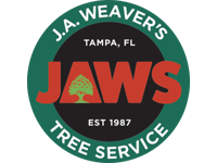 Jaws tree service